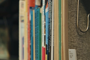 livro (feature)