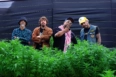 planethemp-jardineiros-luisafosco